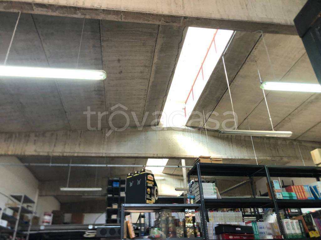 immagine annuncio 2 di 8