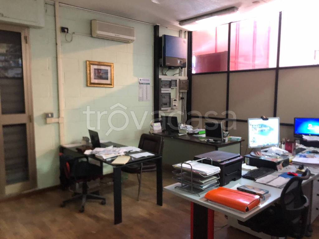 immagine annuncio 5 di 8