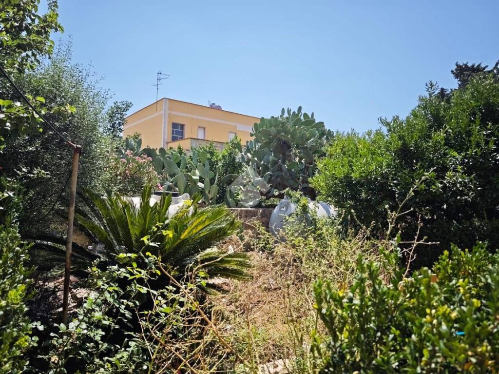 immagine annuncio 9 di 14
