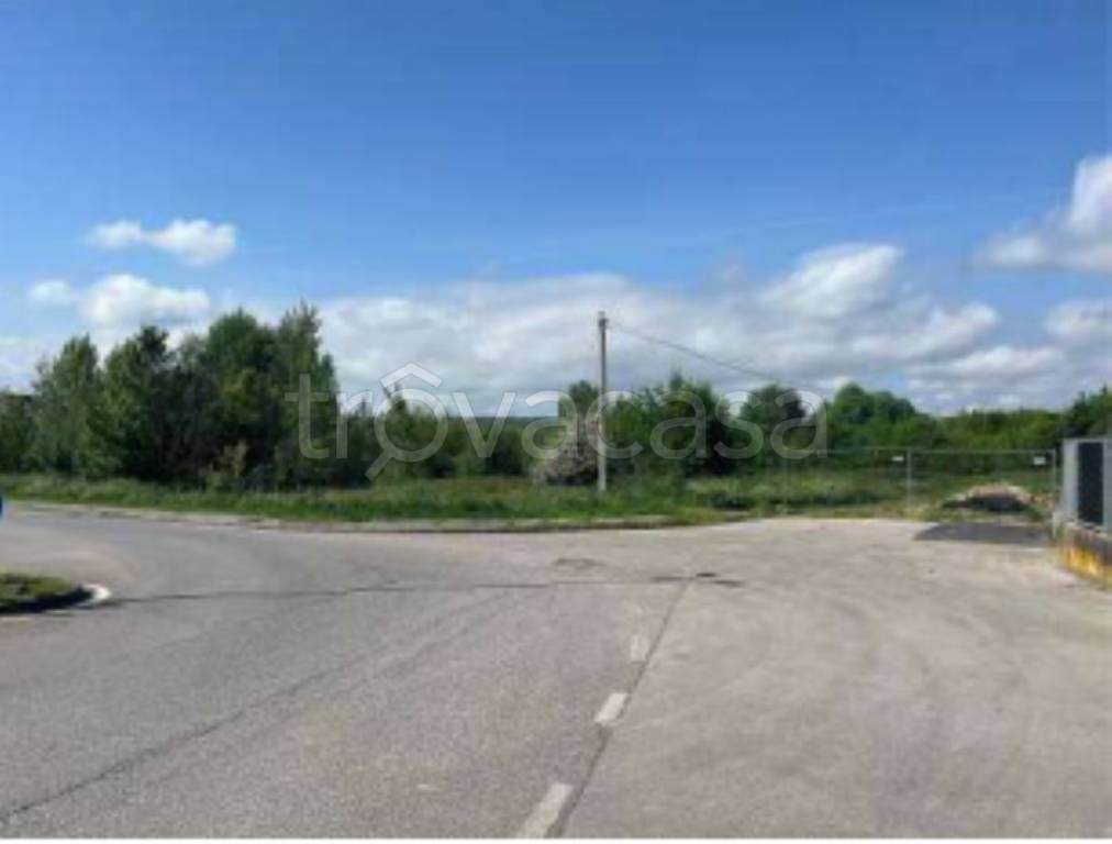 immagine annuncio 4 di 11