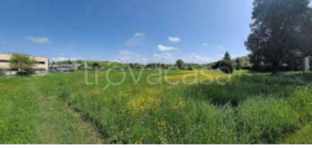 immagine annuncio 9 di 11