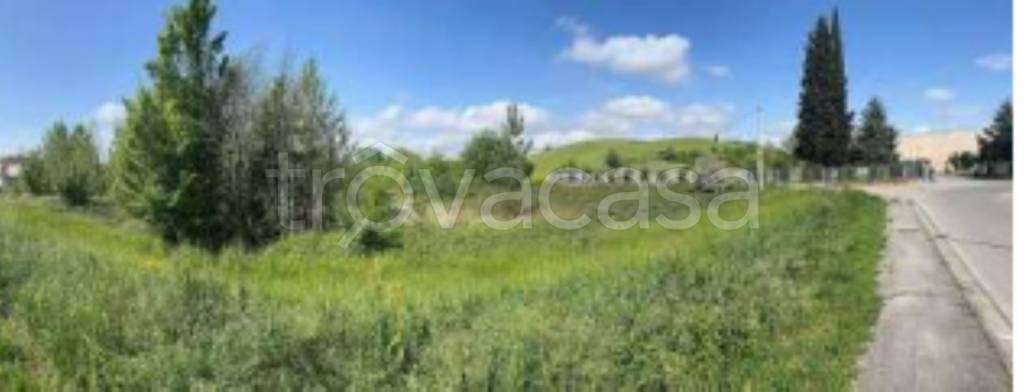 immagine annuncio 5 di 11