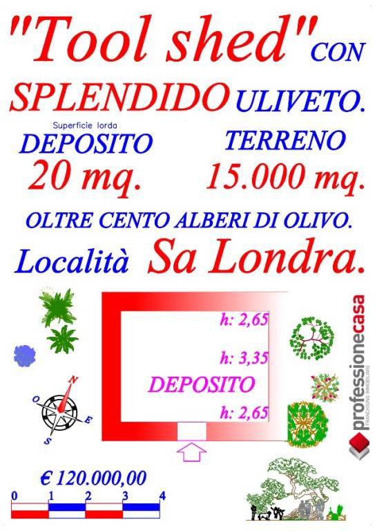 immagine annuncio 10 di 13