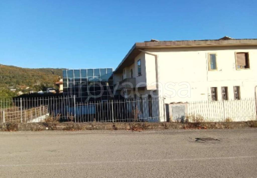 immagine annuncio 5 di 8
