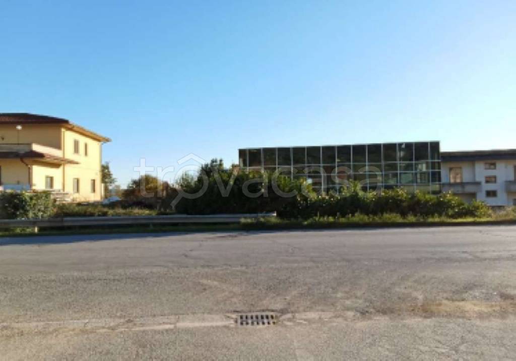 immagine annuncio 6 di 8