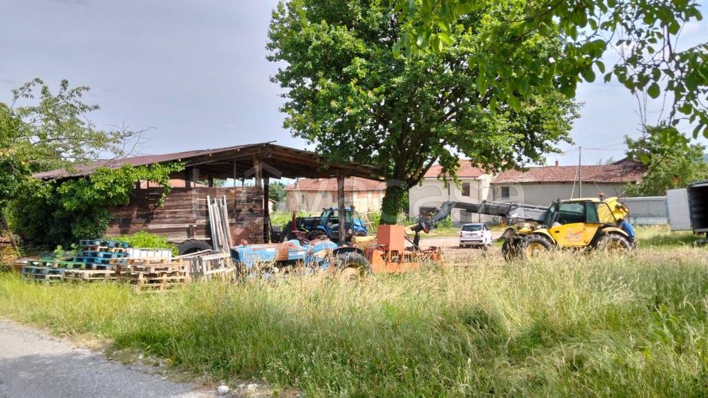 immagine annuncio 4 di 6
