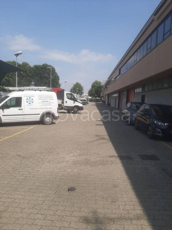 immagine annuncio 4 di 15