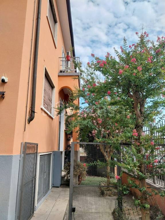 immagine annuncio 7 di 8