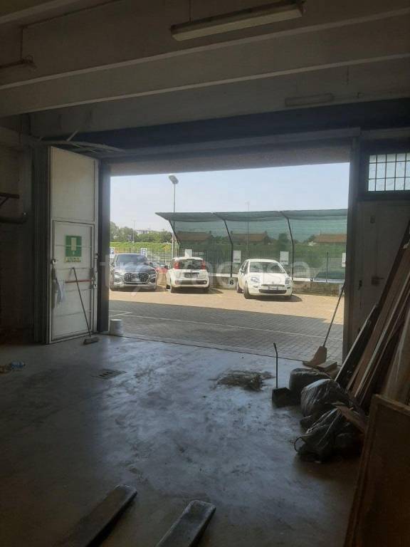 immagine annuncio 5 di 15