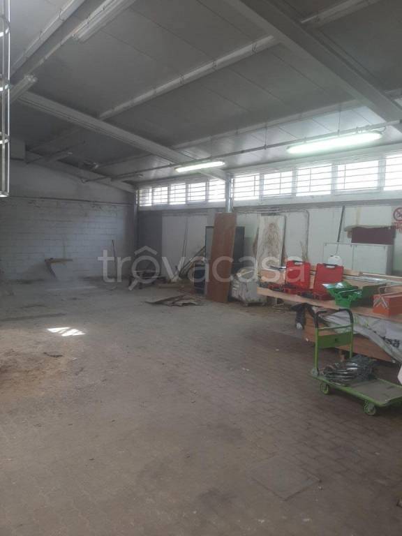 immagine annuncio 10 di 15