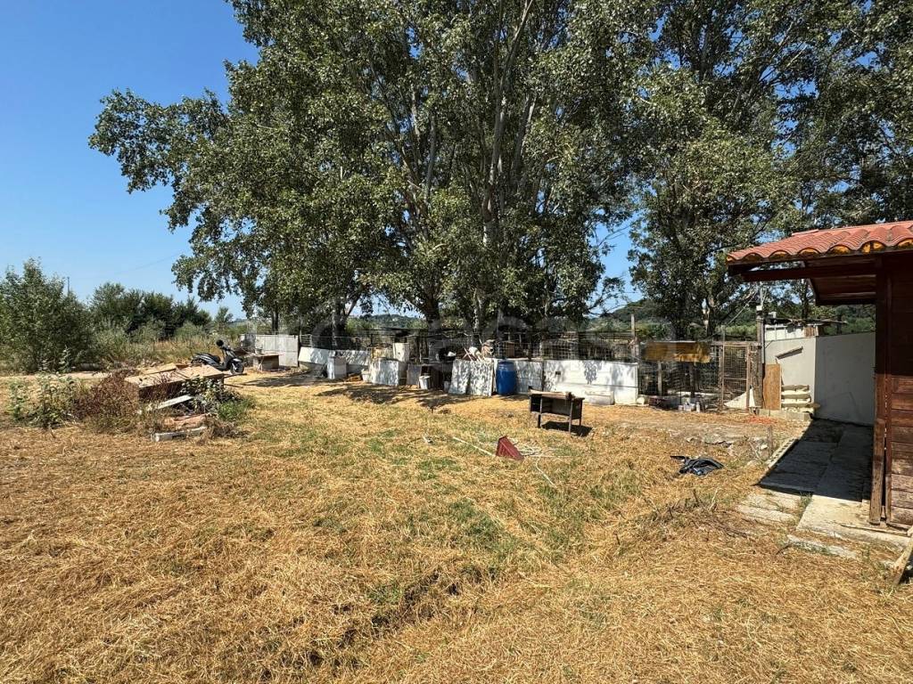 immagine annuncio 3 di 9