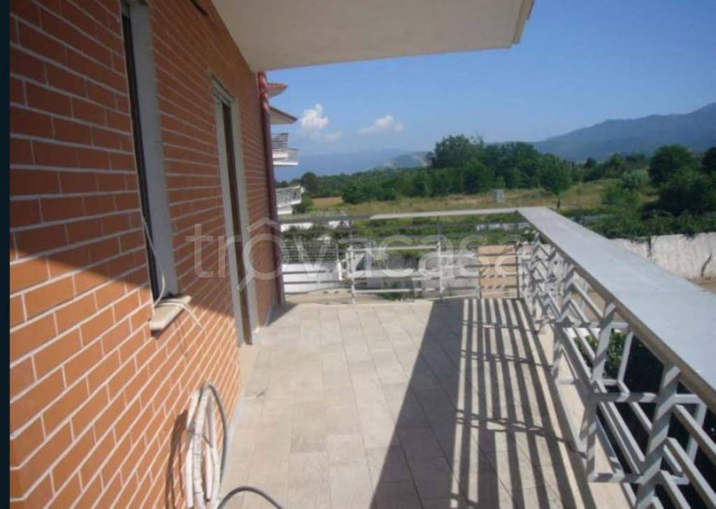 immagine annuncio 12 di 13