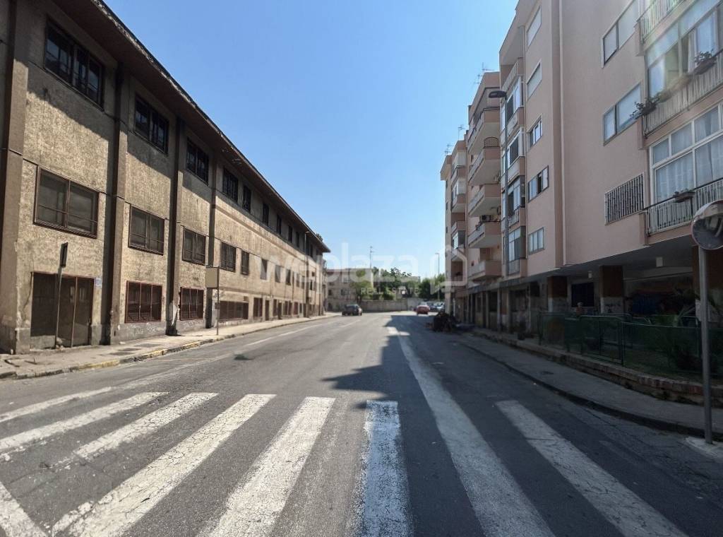 immagine annuncio 2 di 12