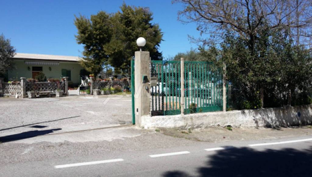 immagine annuncio 5 di 11