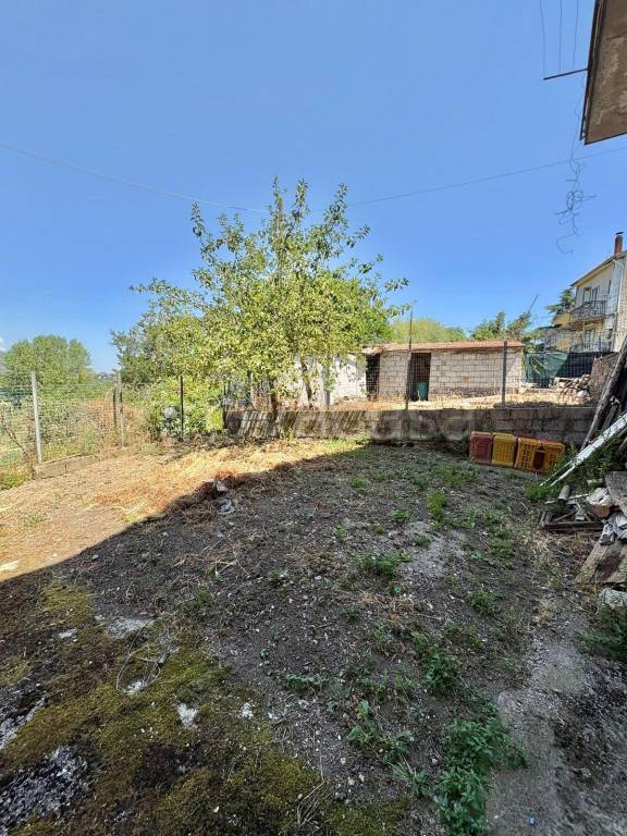 immagine annuncio 8 di 14