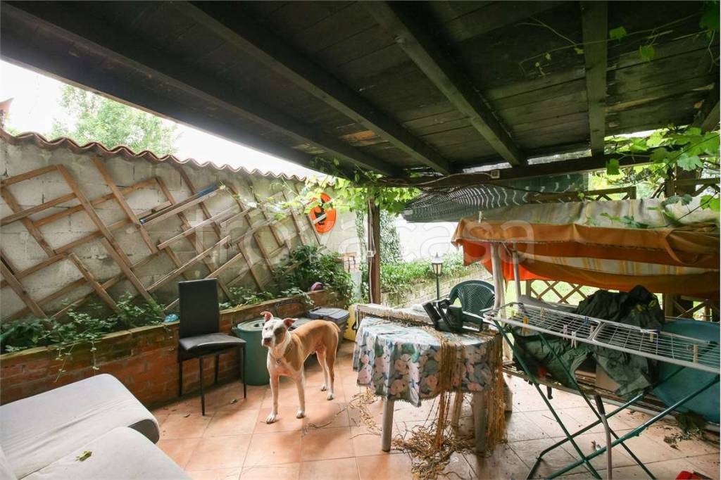 immagine annuncio 10 di 11