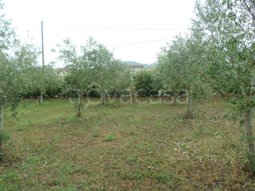 immagine annuncio 3 di 4
