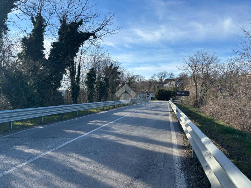 immagine annuncio 4 di 7