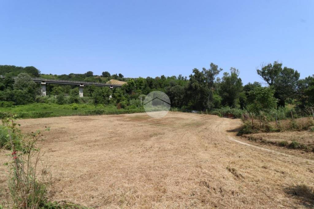 immagine annuncio 6 di 11
