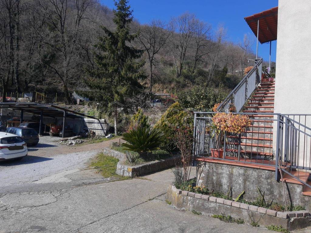 immagine annuncio 4 di 12