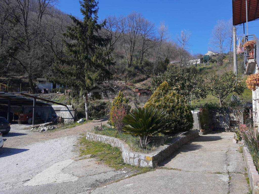 immagine annuncio 7 di 12