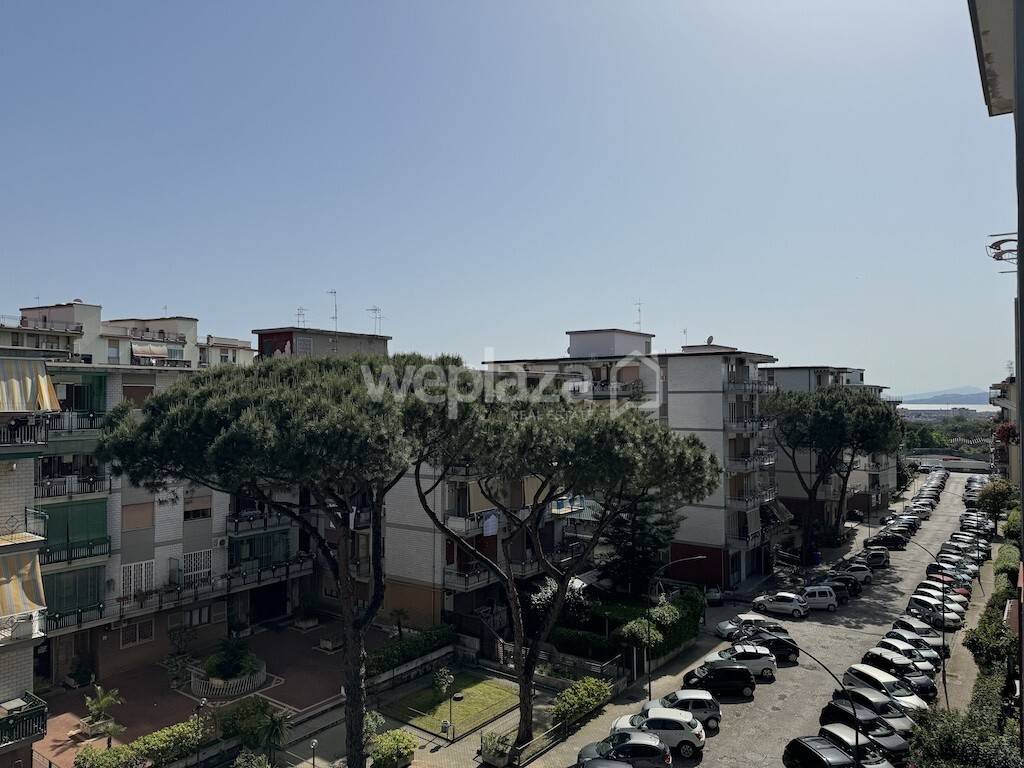 immagine annuncio 4 di 14