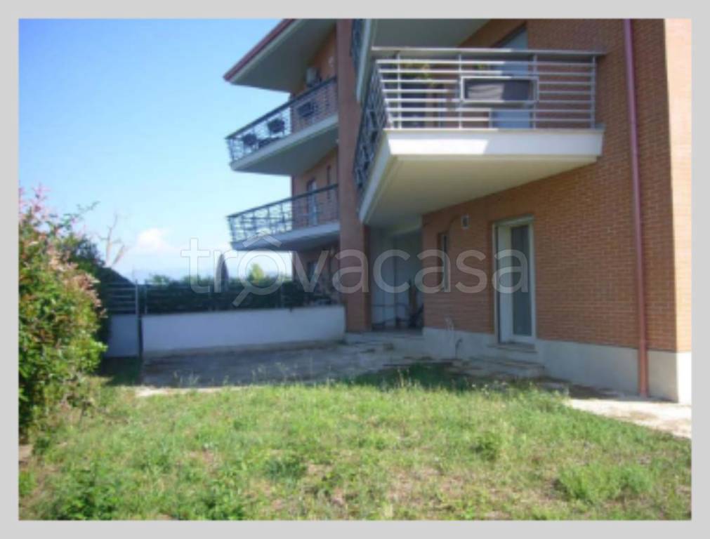 immagine annuncio 10 di 15