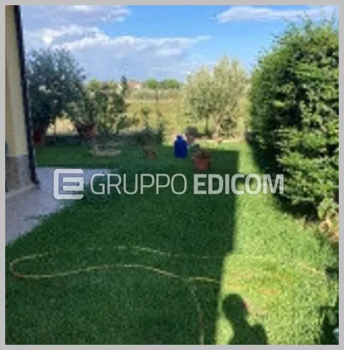 immagine annuncio 13 di 15