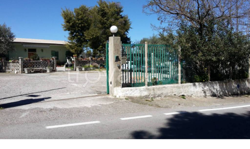 immagine annuncio 10 di 11