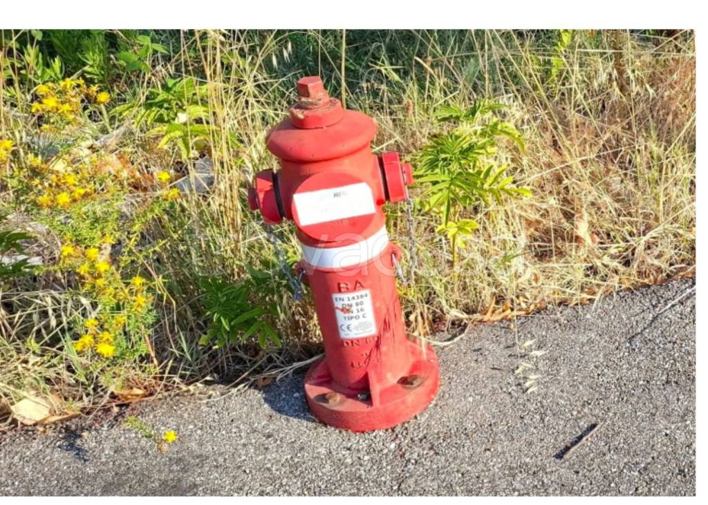 immagine annuncio 8 di 13
