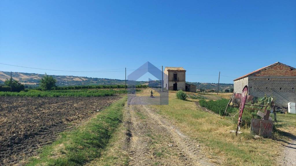 immagine annuncio 4 di 14