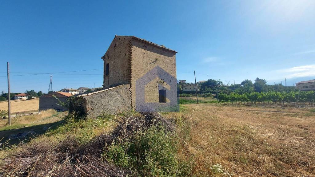 immagine annuncio 9 di 14