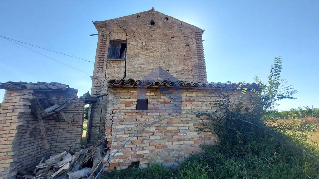 immagine annuncio 11 di 14