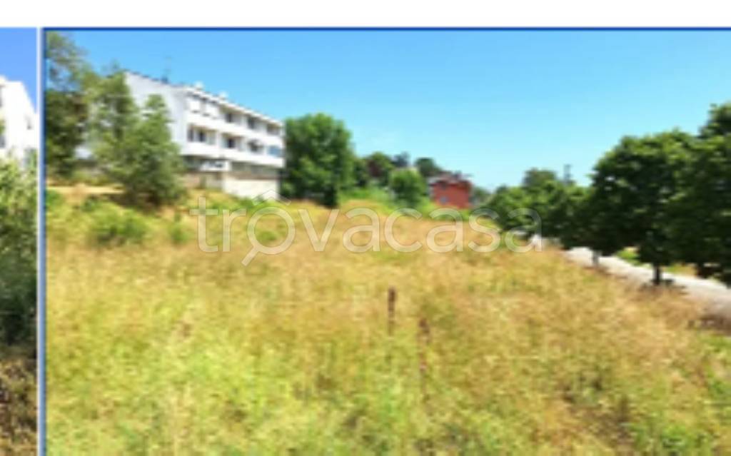 immagine annuncio 7 di 14