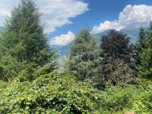 immagine annuncio 11 di 14