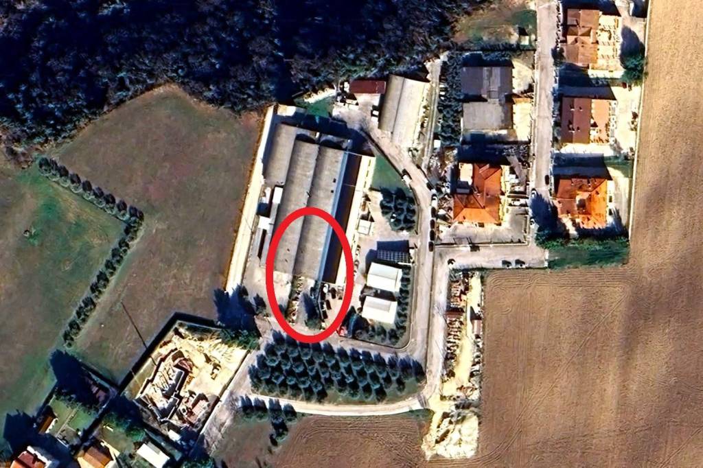 immagine annuncio 3 di 6