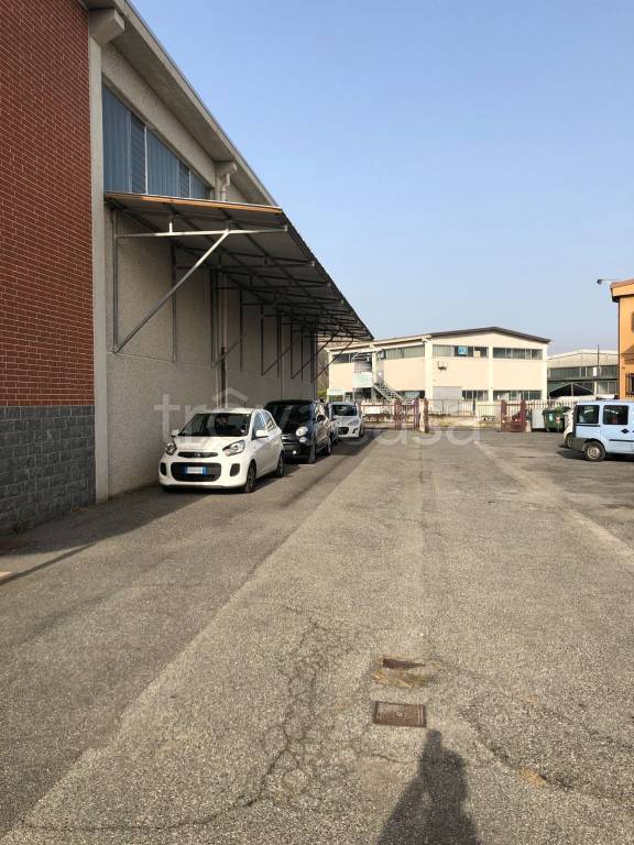 immagine annuncio 3 di 15