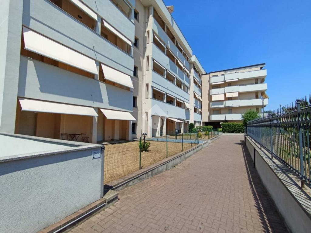 immagine annuncio 2 di 15