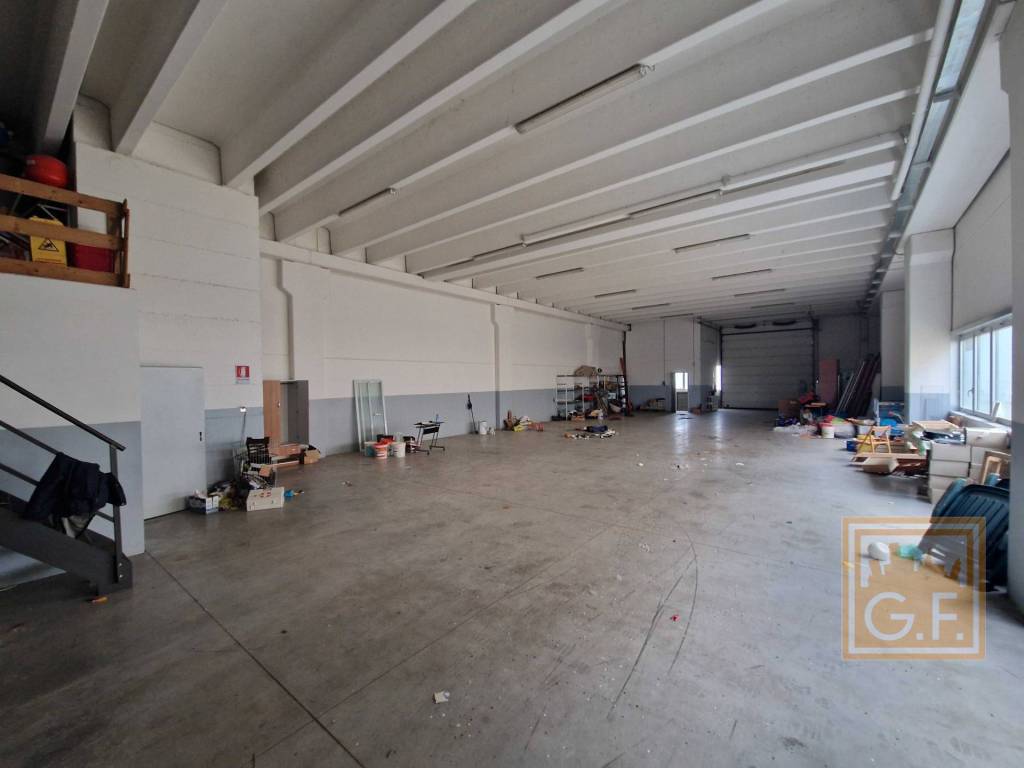 immagine annuncio 3 di 15