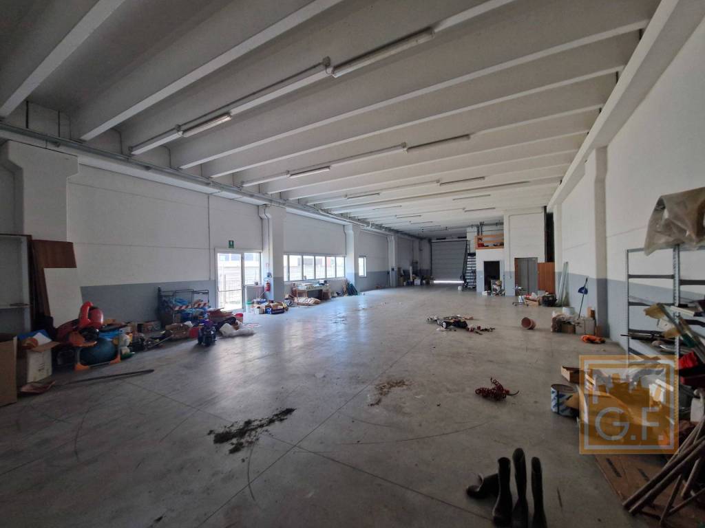 immagine annuncio 5 di 15