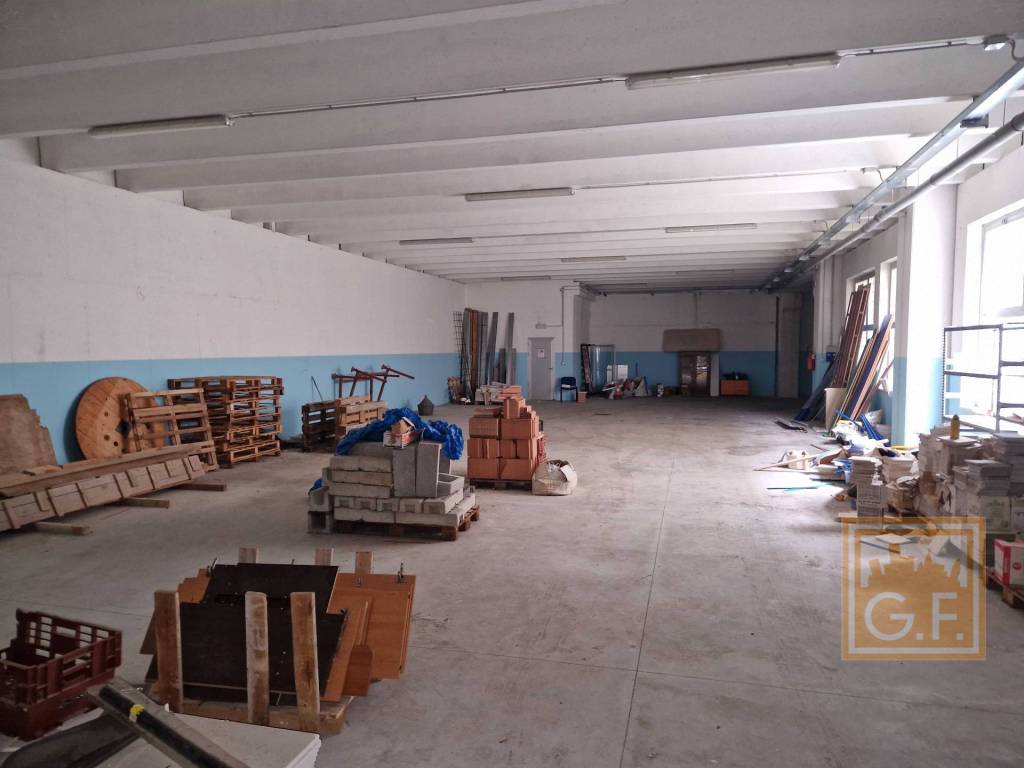 immagine annuncio 6 di 15