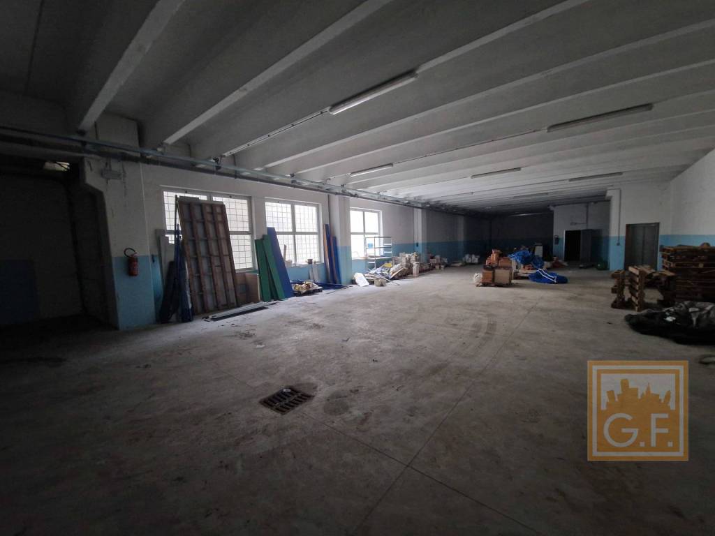 immagine annuncio 9 di 15