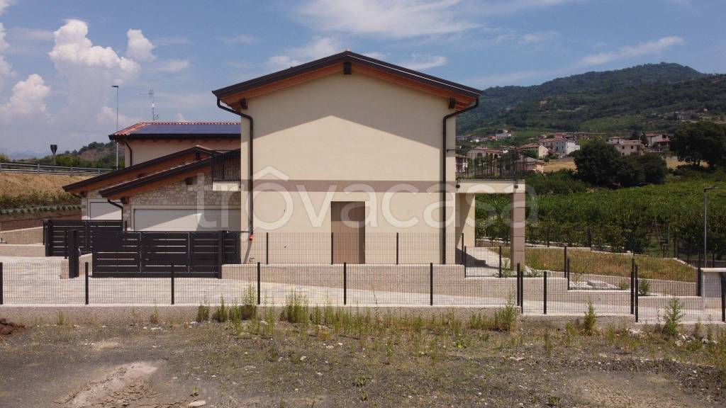 immagine annuncio 4 di 14