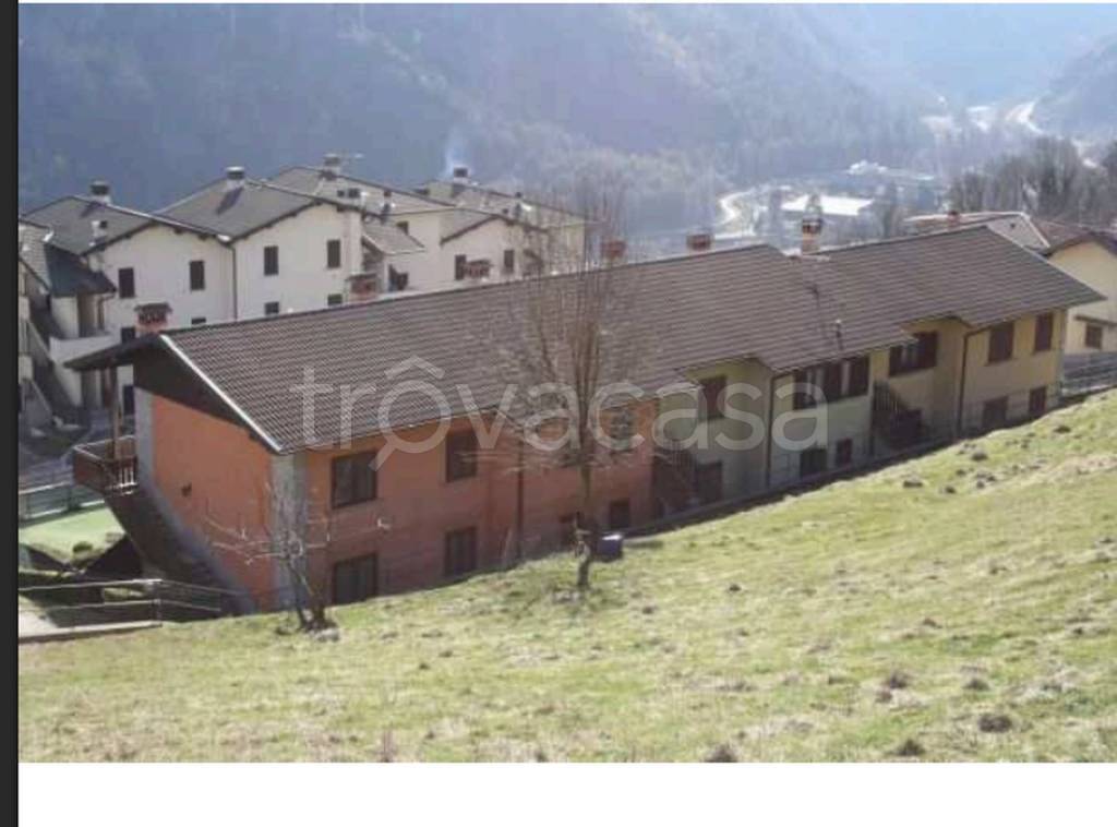 immagine annuncio 5 di 14
