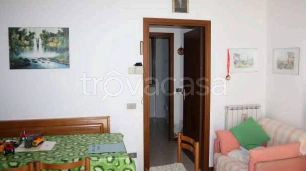 immagine annuncio 12 di 14
