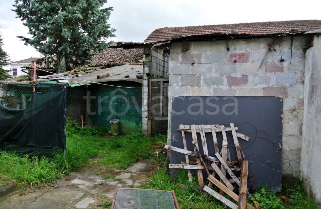 immagine annuncio 2 di 11