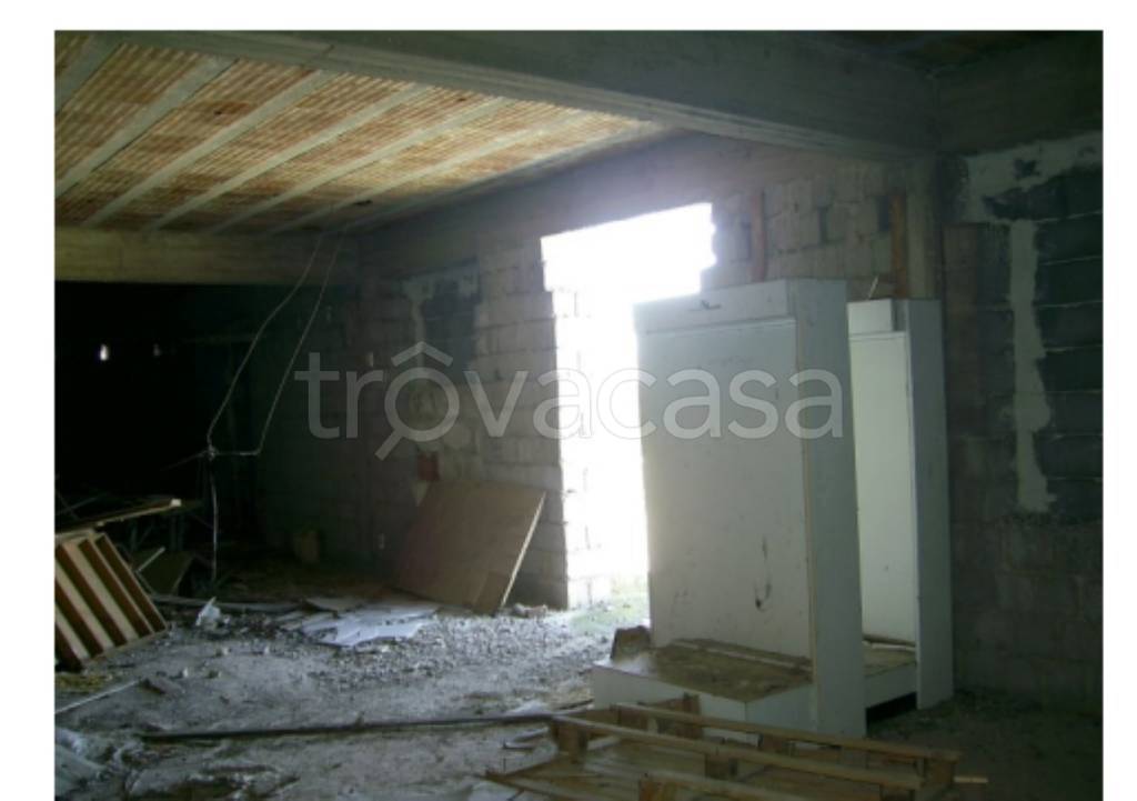immagine annuncio 9 di 14