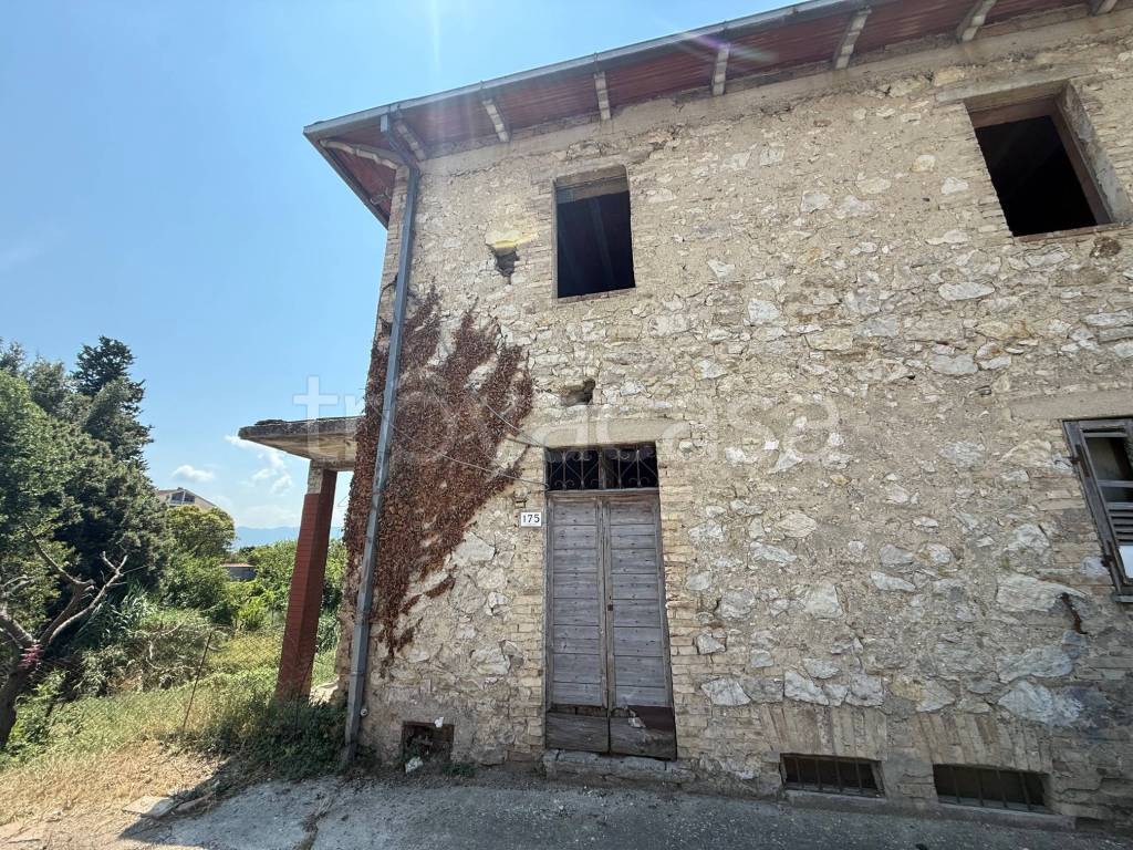 immagine annuncio 6 di 12