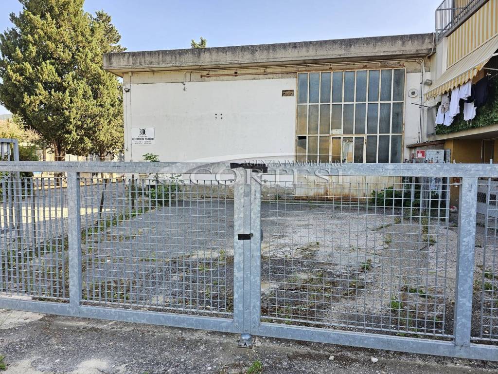 immagine annuncio 1 di 12