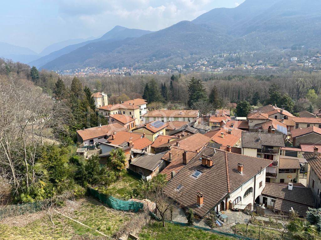 immagine annuncio 6 di 12